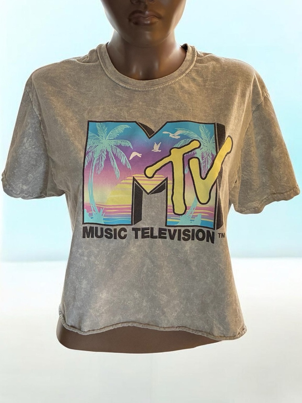 Reserved Gray Crop Tee with Multicolor Retro MTV Logo
